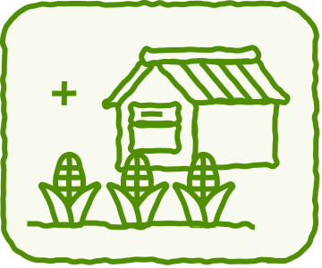 식료품 가게, 옥수수밭