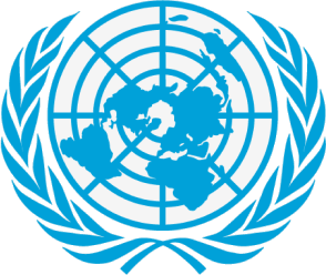 UN MDGs Award 엠블럼