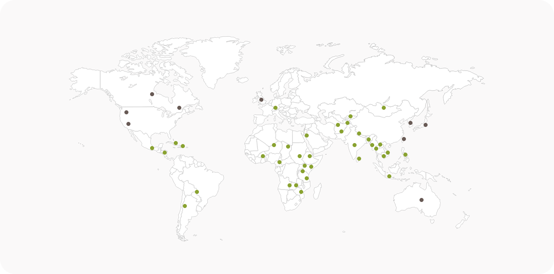 굿네이버스 국제 개발 협력 해외 사업 지도: 전 세계 사업국 및 모금 활동 국가 위치 표시