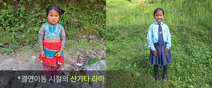 산기타 라마 이미지