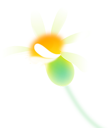 꽃 이미지