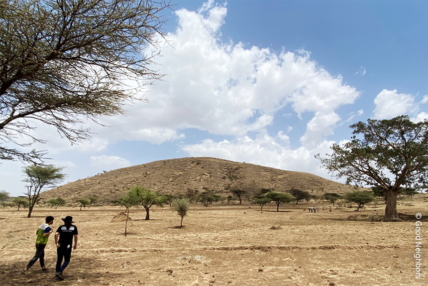 황폐화된 에티오피아 땅