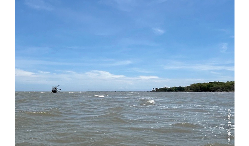 왼쪽에서 나무까지가 30년 전에 맹그로브가 서식했던 곳으로 현재는 황폐화가 심화된 모습을 볼 수 있습니다.