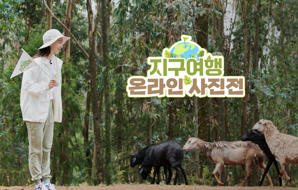 지구여행 온라인 사진전