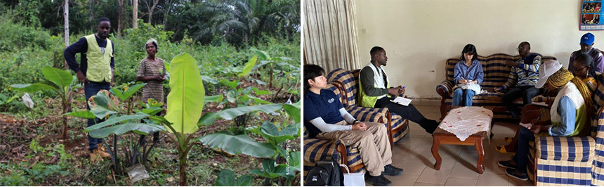 아퀘만 바나나 농가의 모습 및  아퀘만 농업청 면담 모습