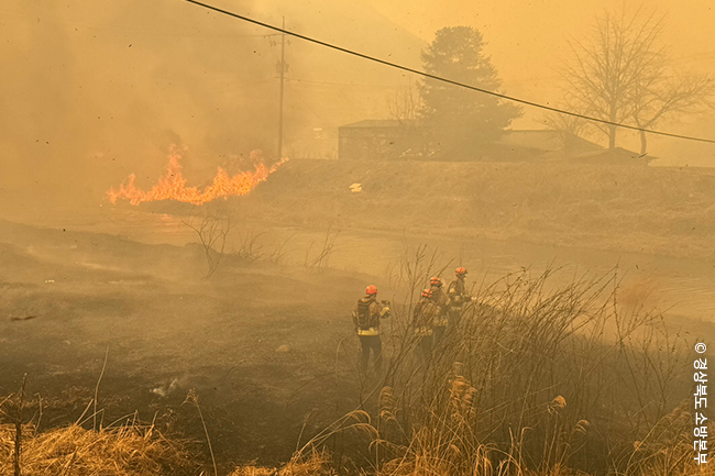 250326_GN뉴스_본문용