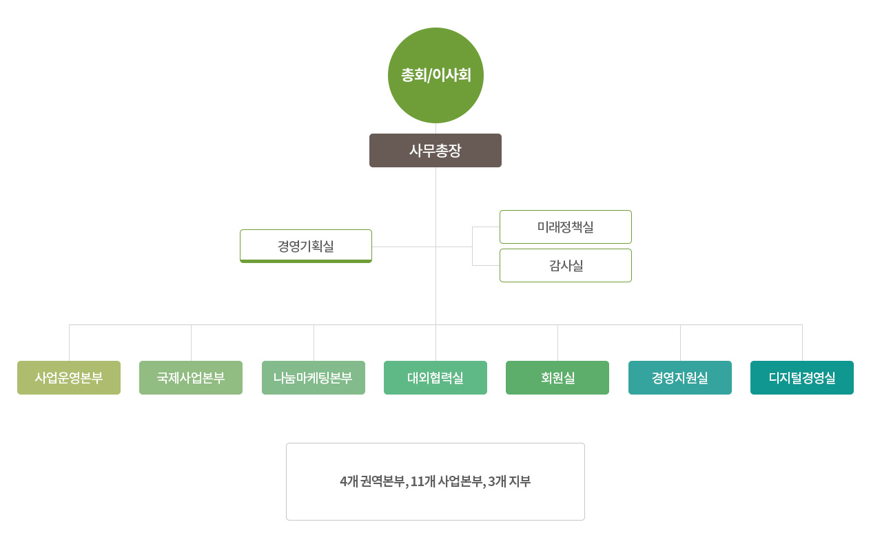 사단법인 조직도