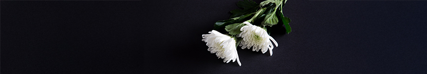 해찬결과보고_2