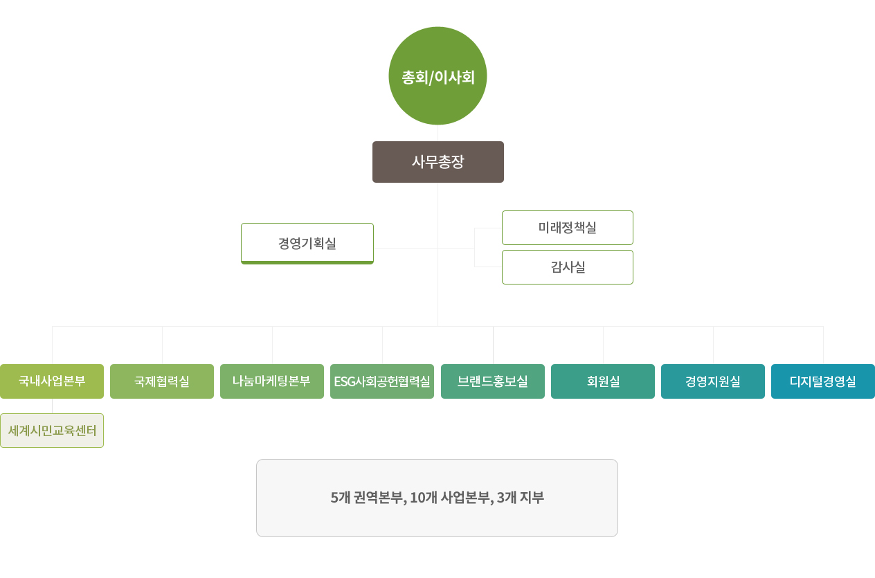 사단법인 조직도