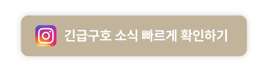 인스타그램