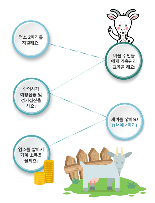 염소 2마리를 지원해요!, 마을 주민들에게 가축관리 교육을 해요!, 수의사가 예방접종 및 정기검진을 해요!, 새끼를 낳아요!(1년에 4마리), 염소를 팔아서 가계 소득을 올려요!