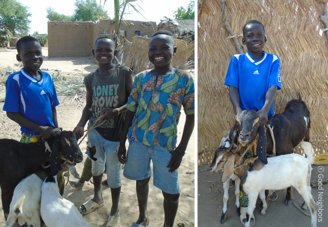 왼쪽 사진은 다이돔과 친구 2명이 염소를 데리고 있는 이미지이며, 오른쪽 사진은 다이돔이 염소 세마리를 데리고 환하게 웃고 있는 이미지
