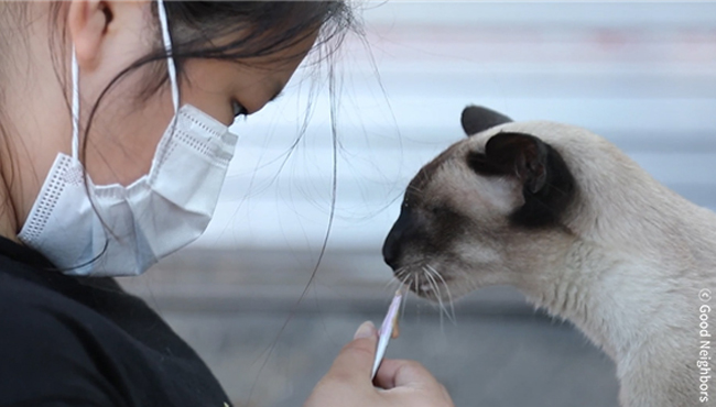 서현이가 고양이와 함께 있는 모습집