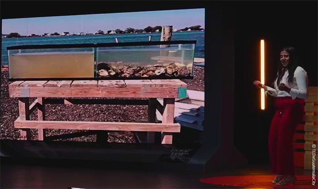 지난 2월 진행한 과테말라 TEDx에서 자신의 철학을 전하는 헤레나