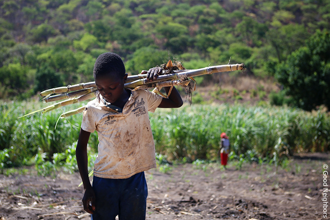 노동을 하는 아동의 모습