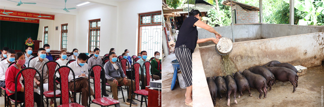 자체 사료 생산을 위한 교육을 수강하는 모습(좌) 돼지에게 사료를 주는 모습(우)