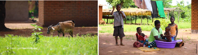 평화로운 말라위의 모습