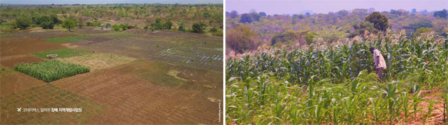 드넓은 말라위 평야의 모습