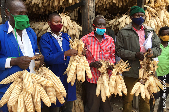 수확한 옥수수를 들고 있는 르완다 주민들의 모습