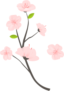 꽃이미지