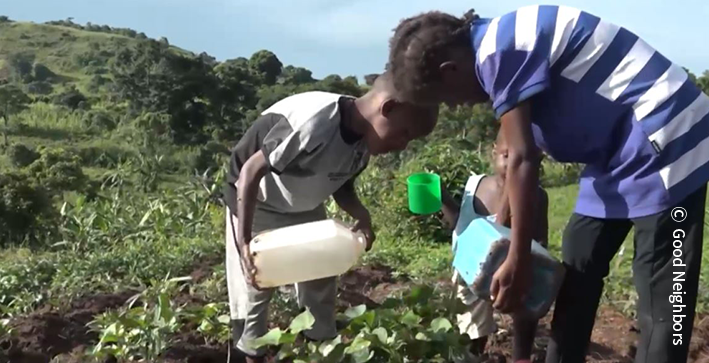 고구마 밭을 가꾸는 사진