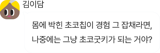 김이담 : 몸에 박힌 초코칩이 경험 그 잡채라면, 나중에는 그냥 초코굿키가 되는 거야?