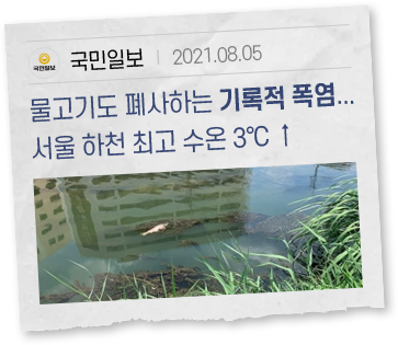 물고기도 폐사하는 기록적 폭염...서울 하천 최고 수온 3℃ ↑